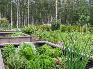 Holiday Home Villa paasirinne a - 1