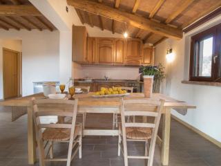 Holiday Home Casa la Selvolina by Interhome - Roccastrada - 4