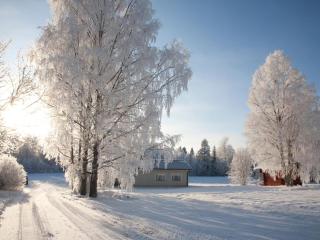 Holiday Home Metsätähti by Interhome - Vuokatti - 7