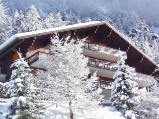 Apartment Colline 1 by Interhome - Champex - 6