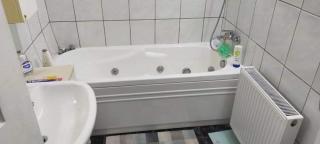 Apartament cu terasa la casa Elena - Timişoara - 6