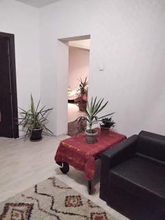 Apartament cu terasa la casa Elena - Timişoara - 8