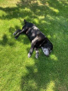 Ferienhaus im Harz Niehoff - 6