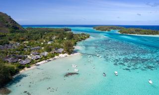Moorea Sunset Beach - Haapiti - 7