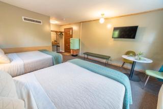 The Springs Motel - 3