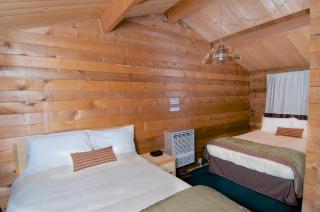 Denali Cabins - 4