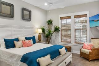 Deep Sea Parrot - Port Aransas - 1