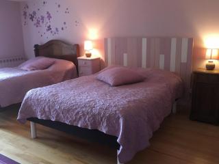 Gîte 3 chambres, jardin, proche Baccarat et Lacs de Pierre-Percée, animaux acceptés - FR-1-584-36 - - 8