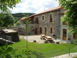 Maison de caractère avec grand terrain, proche d'Arlempdes, labels ECOGÎTE et Tourisme & Handicap - FR-1-582-118 - Arlempdes - 0