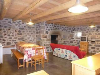 Gîte charmant pour 8 pers à Rauret avec cheminée, terrasse et accès "Tourisme et Handicap" - FR-1-582-186 - Rauret - 4