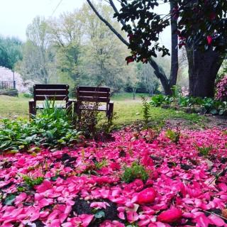 Waterford Manor - 6