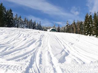 Apartma Bellevue Rogla - 3