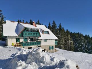 Apartma Bellevue Rogla - Vitanje - 4
