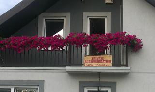 Private accommodation Lidija Rakočević - 0