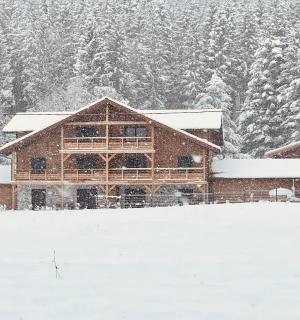 Nouveau Gîte Bain Nordique - Xonrupt-Longemer - 9
