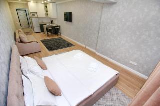 Great Cozy Apt in the heart of the city TU116 - Almaty - 8