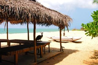 Khomba Beach House - Alankuda - 7