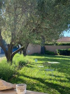 Villa et maisonnette provençales - Carpentras - 5