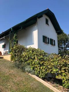 Kellerstöckl Postrumer Weinberg 49 - Kulm im Burgenland - 7