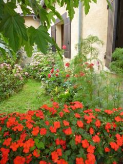 Les Sureaux - Le Pizou - 3