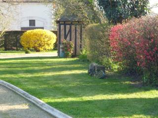 Les Sureaux - Le Pizou - 5