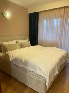 Apartament Cozma - Baia Mare - 5