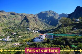 Casa Camino Tamadaba II (bottom home） - 8