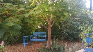 Mi Casa Tu Casa - Dead Sea - 5