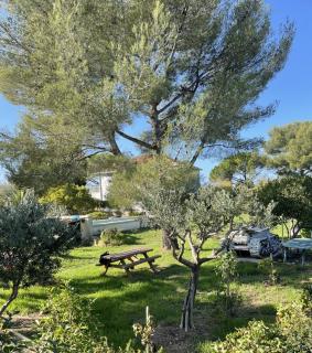 Le poisson qui recule - Maison et piscine dans parc arboré proche mer - 2