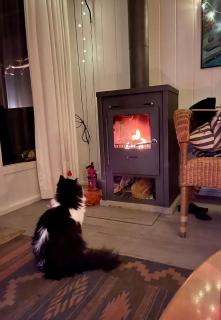 The Outpost Lakehouse- enjoy our house at Reeuwijkse Plassen - near Gouda - Reeuwijk - 1