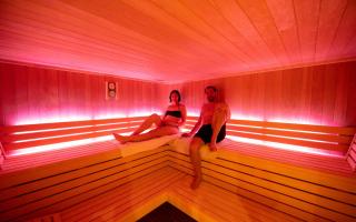 Gîte 5* piscine intérieure, sauna, à 20 mins des pistes de ski, à 300 m d’un Lac - Saulxures-sur-Moselotte - 8