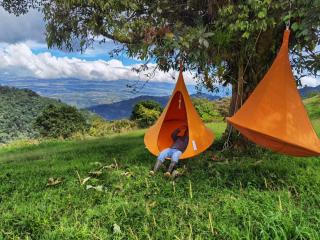 Finca Queveri - Orosí - 8