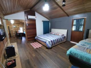 Cassava Homestay - Rumah Gallery - 1