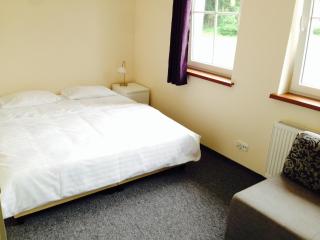 ApartamentyKudowa - Willa Pod Dębami z ogrodem i parkingiem, - Kudowa-Zdrój - 5