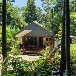 Forest views - Diwan - 0