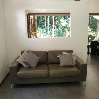 Forest views - Diwan - 3