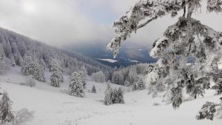 Au chalet de JO - Muhlbach-sur-Munster - 5