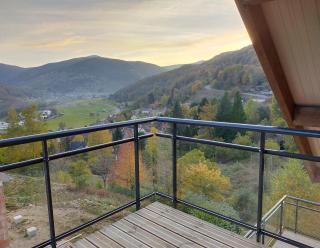 Au chalet de JO - Muhlbach-sur-Munster - 2