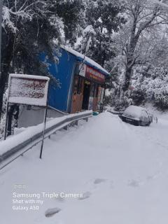 Dev Bhoomi Resort - Kanatal - 4