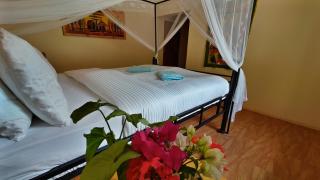 Tanzanice Farm Lodge - Karatu - 3