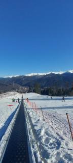 Apartamente Casa Cristina in Pensiune la 400m de Pârtia de ski - Buşteni - 3