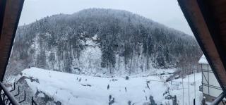 Писанка Плюс - 8