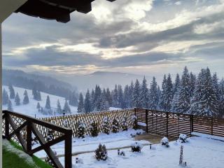 Bucovina Sky View - Gura Humorului - 1