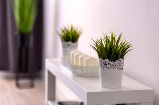 Apartament Anna - Krynica Zdrój - 9