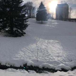 Pano Hohegeiß App 363 mit Wlan - Braunlage - 8