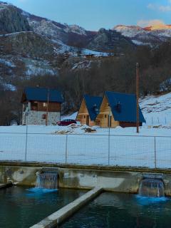 BB CHALET - Kolašin - 7