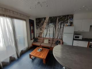 Maison RONCE LES BAINS - Ronce-les-Bains - 7