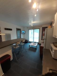 Maison RONCE LES BAINS - Ronce-les-Bains - 1