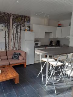 Maison RONCE LES BAINS - Ronce-les-Bains - 6