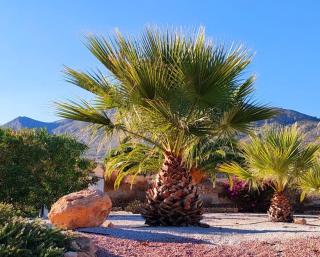 Finca Vista Valle - 2